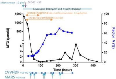 Role of molecular adsorbent recirculating system in methotrexate-induced acute liver failure: a case report and literature review